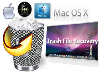mac force empty trash in use